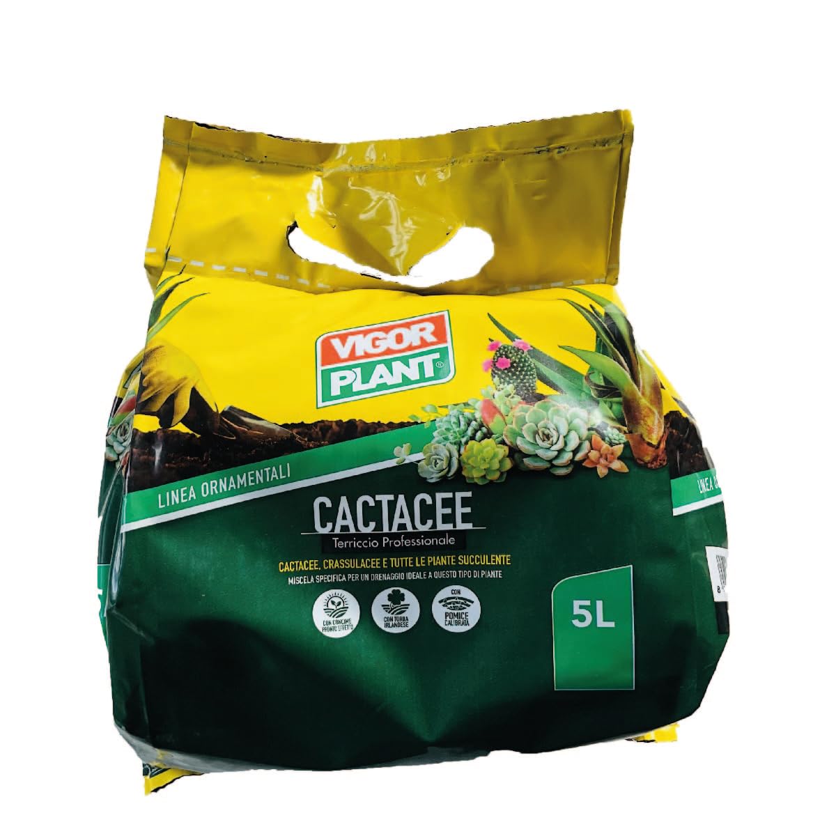 marna per piante grasse